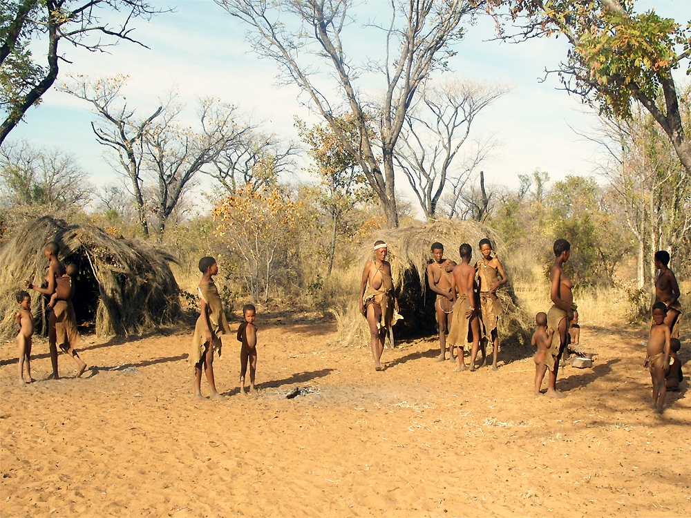 Bushmen Pictures Of Namibia
